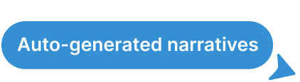 Auto-generated narratives